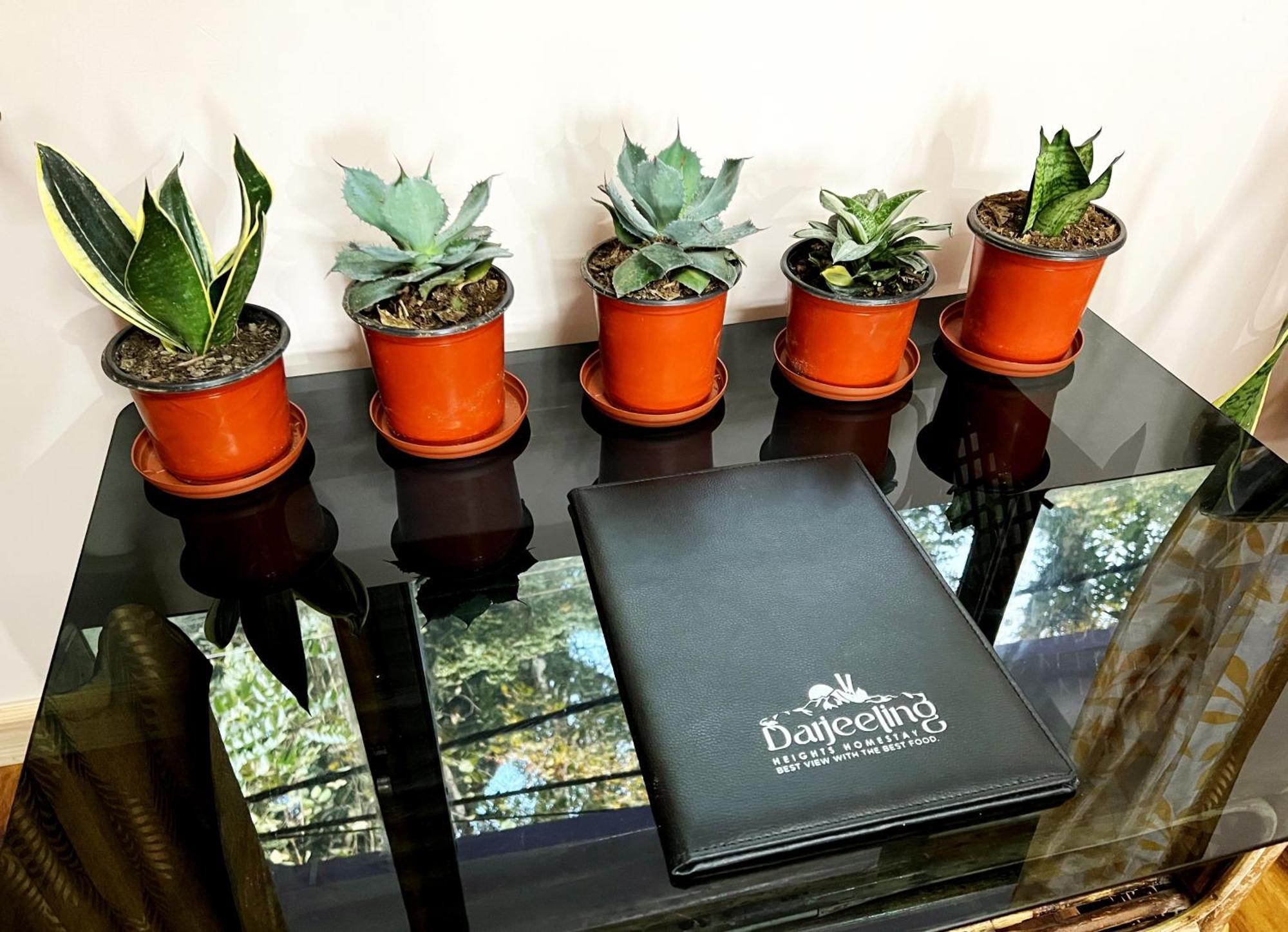 Darjeeling Heights - A Boutique Mountain View Homestay Oda fotoğraf